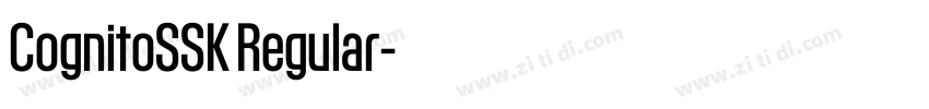 CognitoSSK Regular字体转换 CognitoSSK Regular字体转换